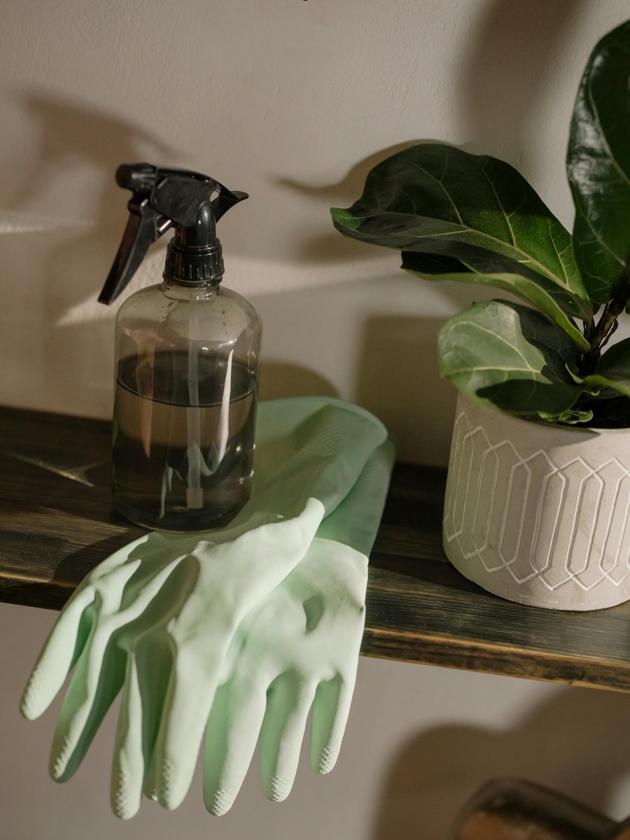 Professional cleaning tools arranged in a bright interior